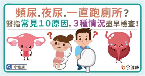 經常想去廁所|頻尿、夜尿、一直跑廁所？醫指常見10原因，3種情況盡早檢查！